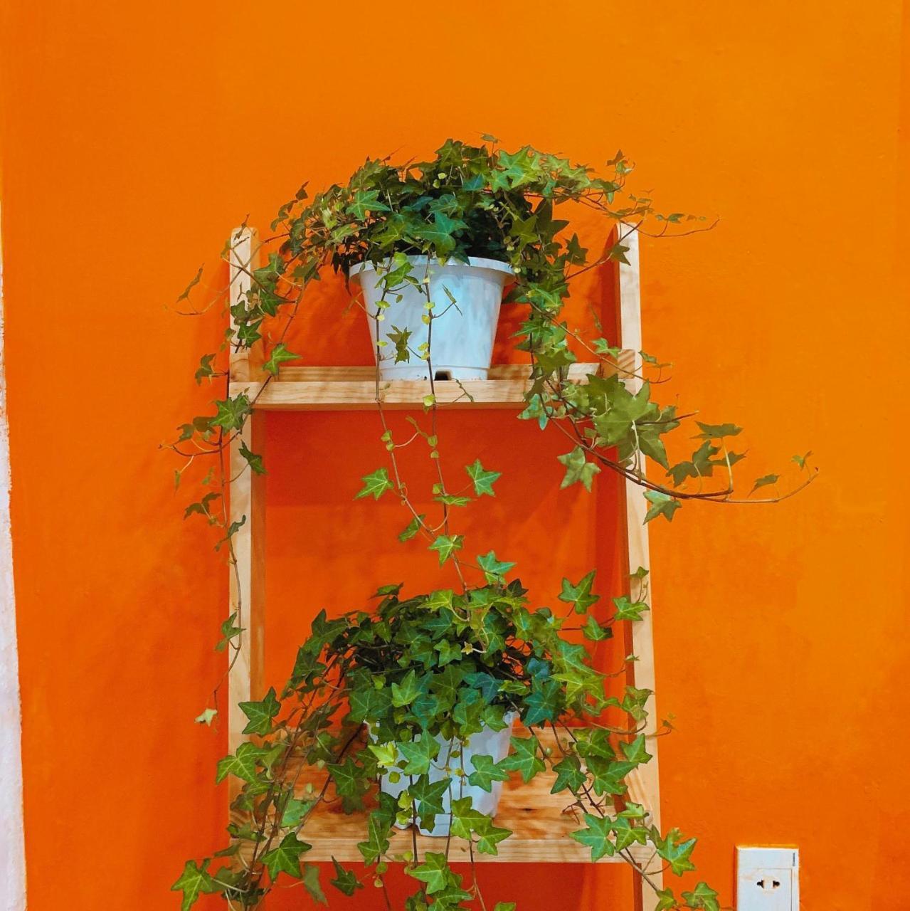 Summer Taste Homestay 호치민 외부 사진